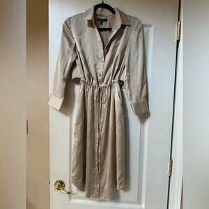 Banana Republic Charmeuse Silk Shirtdress